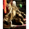 Ziggy's Secrets: An Internet Password Keeper - Paperback