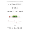 A CEO Only Does Three Things: Finding Your Focus in the C-Suite - Hardcover