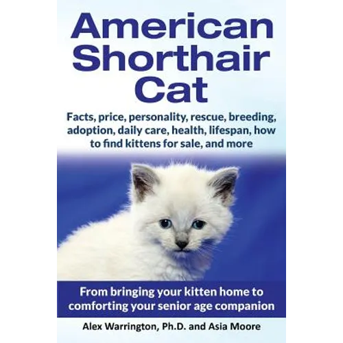 American Shorthair Cat: From bringing your kitten home to comforting your senior age companion - Paperback