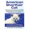 American Shorthair Cat: From bringing your kitten home to comforting your senior age companion - Paperback