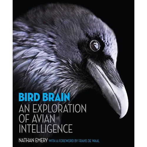 Bird Brain: An Exploration of Avian Intelligence - Hardcover