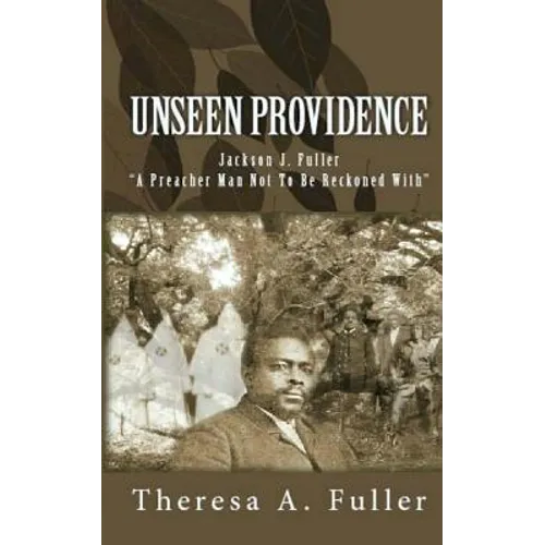 The Unseen Providence - Paperback