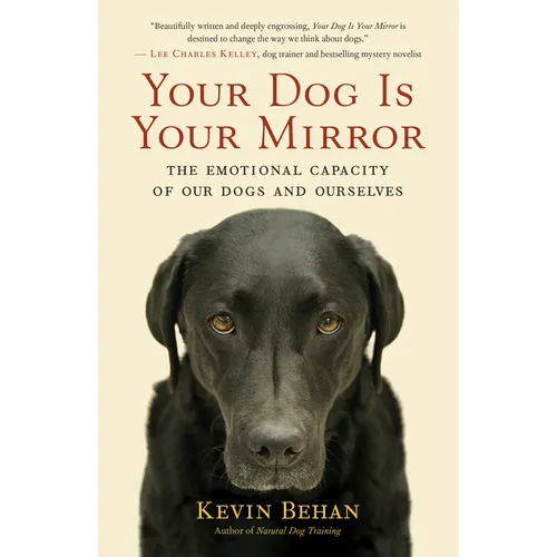 Your Dog Is Your Mirror: The Emotional Capacity of Our Dogs and Ourselves - Paperback