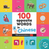 100 opposite words in chinese: Bilingual picture book for kids: english / chinese with pronunciations - Paperback