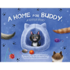 A Home for Buddy: A Foster Story - Paperback