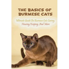 The Basics Of Burmese Cats: Ultimate Guide On Burmese Cats Caring, Housing, Keeping, And More: The Great Benefits Of Owning Burmese Cats - Paperback