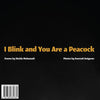I Blink and You Are a Peacock: Ta Pelkam Mojeh Mizanad, Tavoos Mishavi - Paperback