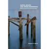 Gospel Jesuses and Other Nonhumans: Biblical Criticism Post-poststructuralism - Paperback