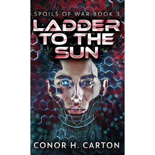 Ladder To The Sun - Hardcover