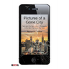 Pictures of a Gone City: Tech and the Dark Side of Prosperity in the San Francisco Bay Area - Paperback