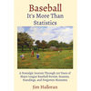 Baseball: It's More Than Statistics: A Nostalgic Journey Through 120 Years of Major League Baseball Stories, Seasons, Standings, and Forgotten Moments - Hardcover