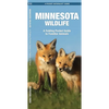Minnesota Wildlife: A Folding Pocket Guide to Familiar Animals - Hardcover