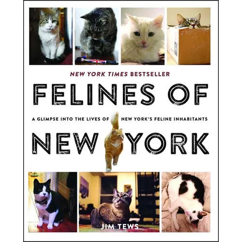 Felines of New York: A Glimpse Into the Lives of New York's Feline Inhabitants - Paperback