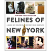 Felines of New York: A Glimpse Into the Lives of New York's Feline Inhabitants - Paperback