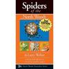 Spiders of the North Woods - Paperback