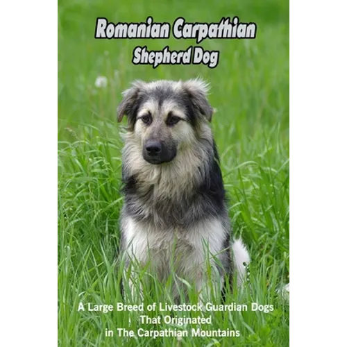 Romanian Carpathian Shepherd Dog: A Large Breed of Livestock Guardian Dogs That Originated in The Carpathian Mountains: What You Should Know About Rom - Paperback
