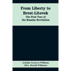 From Liberty to Brest-Litovsk: The first year of the Russian revolution - Paperback