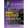 DAVID BUSCH'S Sony Cyber-shot DSC-RX100 V FAST TRACK GUIDE - Paperback