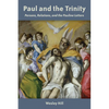 Paul and the Trinity: Persons, Relations, and the Pauline Letters - Paperback