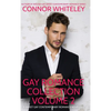 Gay Romance Collection Volume 2: 3 Sweet Gay Contemporary Romance Novellas - Hardcover