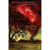 Runaway Twin - Paperback