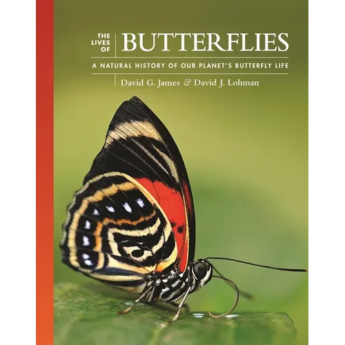 The Lives of Butterflies: A Natural History of Our Planet's Butterfly Life - Hardcover