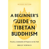 A Beginner's Guide to Tibetan Buddhism: Practice, Community, and Progress on the Path - Paperback