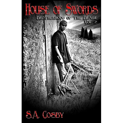 Brotherhood of the Blade: Vol 2: House of Swords - Paperback