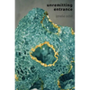 Unremitting Entrance - Paperback