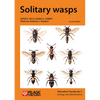 Solitary wasps - Paperback