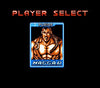 Final Fight 3 NES Game Repro Nintendo Cart
