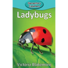Ladybugs - Hardcover