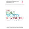 The Holy Trinity Revisited: Essays in Response to Stephen Holmes - Paperback