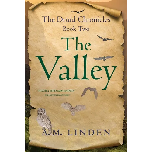 The Valley: The Druid Chronicles, Book Two - Paperback
