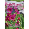 Wildflowers of Zion National Park - Paperback