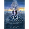 The Trials of Ildarwood: Cinders in the Snow - Hardcover