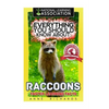 Everything You Should Know About: Raccoons Faster Learning Facts - Paperback
