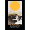 Spring in the Ruined City: Selected Poems - Paperback