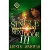A Single Woman & The Thug Next Door 3: The Finale - Paperback