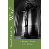 Why?: A Layman's Guide to the Liturgy - Paperback