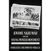Kwame Nkrumah and the Young Pioneer Movement: Interviews with Young Pioneers and Others - Paperback