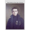 Saint Gabriel of Our Lady of Sorrows: Passionist A Youthful Hero of Sanctity - Paperback