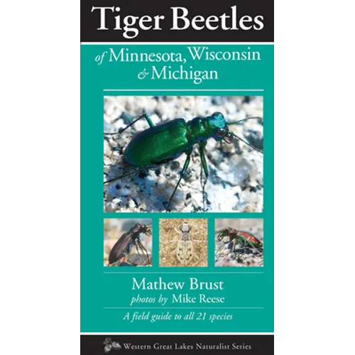 Tiger Beetles of Minnesota, Wisconsin & Michigan - Paperback