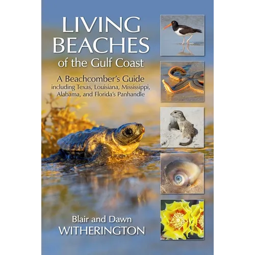 Living Beaches of the Gulf Coast: A Beachcombers Guide Including Texas, Louisiana, Mississippi, Alabama and Florida's Panhandle - Paperback