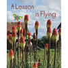 A Lesson in Flying - Paperback