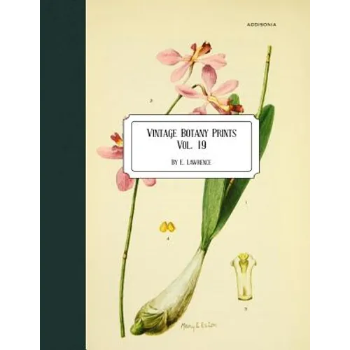 Vintage Botany Prints: Vol. 19 - Paperback