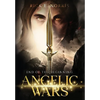 Angelic Wars: End of the Beginning - Hardcover