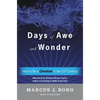 Days of Awe and Wonder: How to Be a Christian in the Twenty-First Century - Paperback