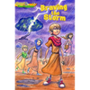 Braving the Storm (Gtt 2) - Paperback