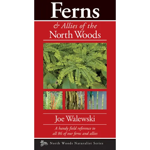 Ferns & Allies of the North Woods: A Handy Field Reference to All 86 of Our Ferns and Allies - Paperback